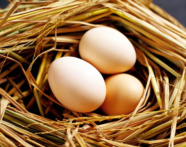 Trứng gà rất hữu ích trong việc làm trắng da